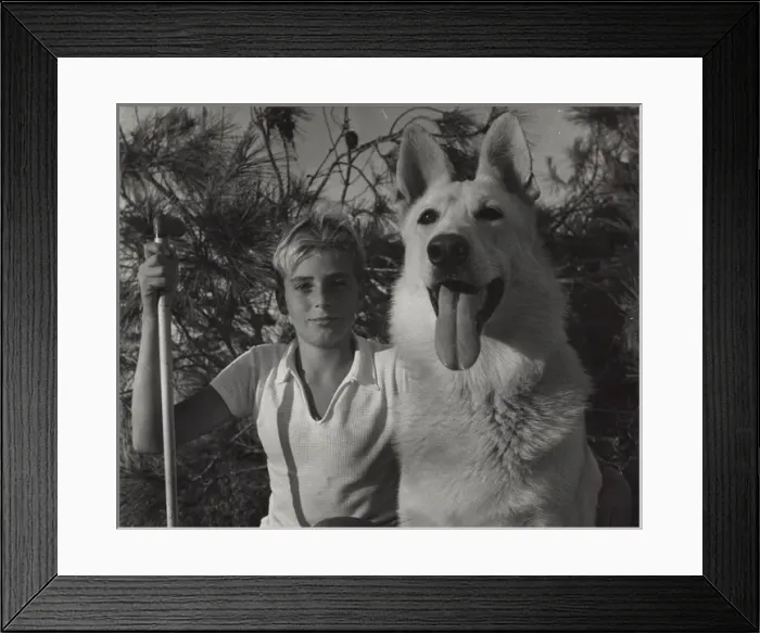 Framed Print : Boy scout with a large dog, Cyprus Framed Print : Boy scout with a large dog, Cyprus