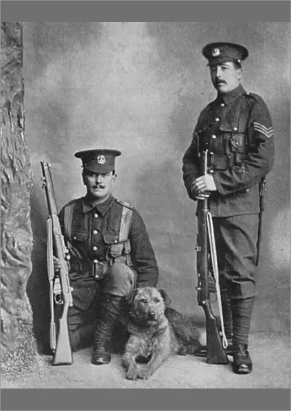 A sentry dog with the Norfolk regiment