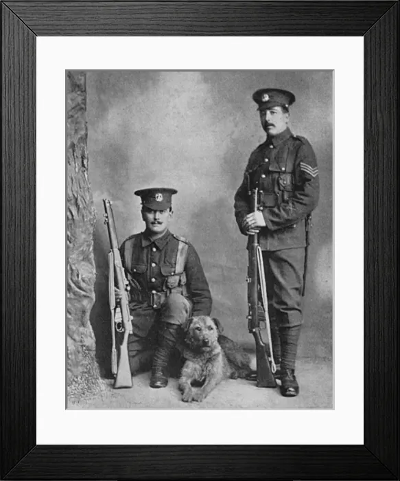Framed Print : A sentry dog with the Norfolk regiment Framed Print : A sentry dog with the Norfolk regiment