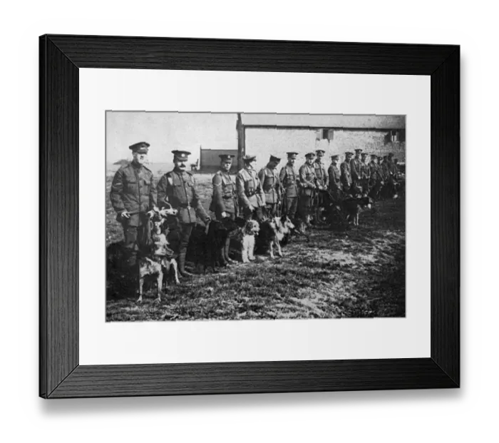 Framed Print : Morning parade at British War Dog School Framed Print : Morning parade at British War Dog School