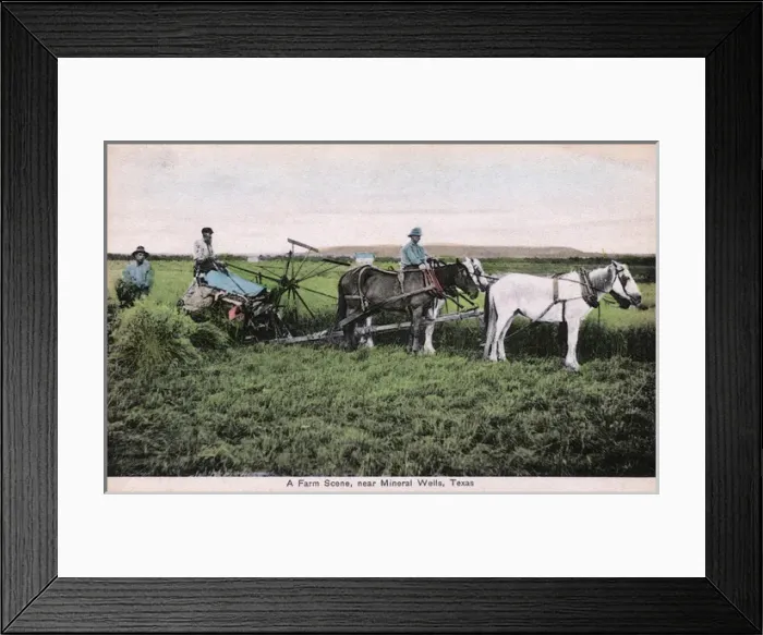 Framed Print : Farm scene near Mineral Wells, Texas, USA Framed Print : Farm scene near Mineral Wells, Texas, USA