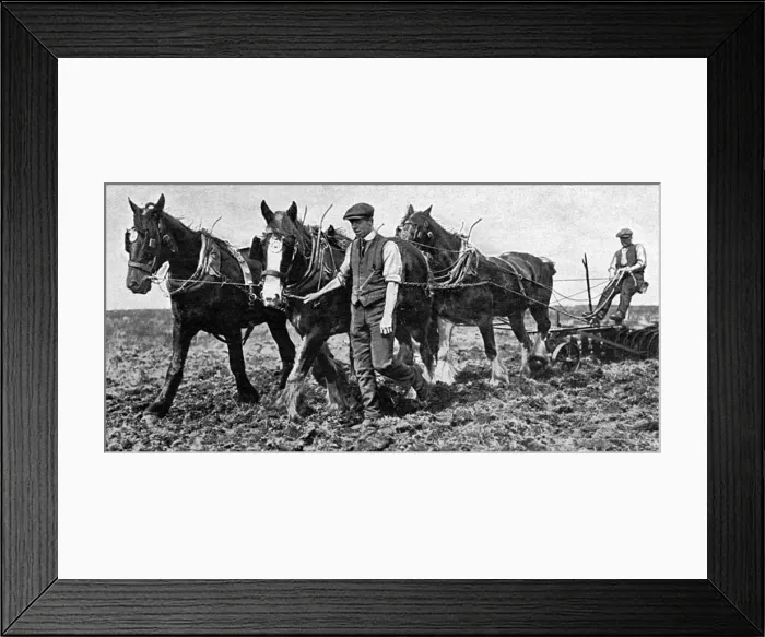 Framed Print : Conscientious objectors on Dartmoor Framed Print : Conscientious objectors on Dartmoor