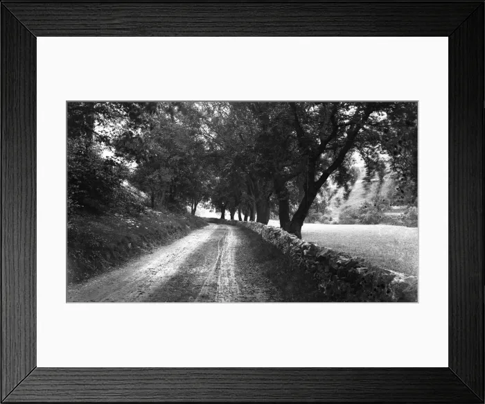 Framed Print : Road and trees near Millers Dale, Peak District Framed Print : Road and trees near Millers Dale, Peak District