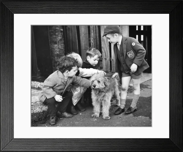 Framed Print : Little boys with dog, Balham, SW London Framed Print : Little boys with dog, Balham, SW London