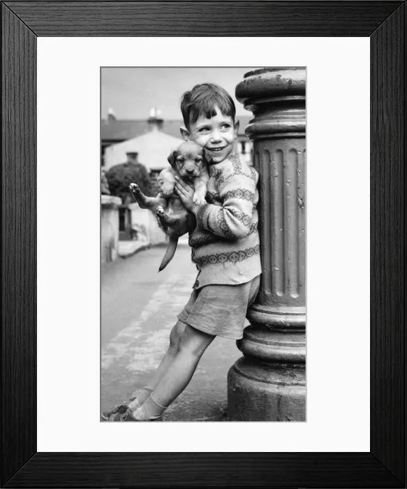 Framed Print : Little boy with puppy, Balham, SW London Framed Print : Little boy with puppy, Balham, SW London