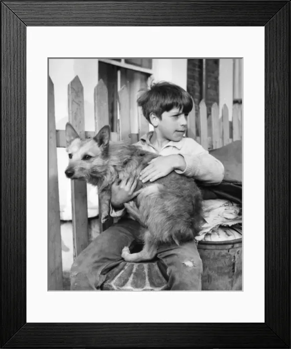 Framed Print : Boy with dog, Balham, SW London Framed Print : Boy with dog, Balham, SW London