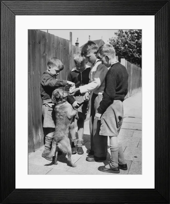 Framed Print : Four boys with dog, Balham, SW London Framed Print : Four boys with dog, Balham, SW London