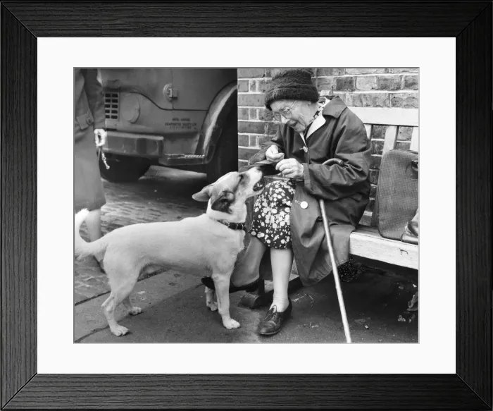 Framed Print : Elderly woman with dog, Balham, SW London Framed Print : Elderly woman with dog, Balham, SW London