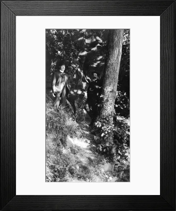 Framed Print : Woodland scene near Ellesmere, Shropshire Framed Print : Woodland scene near Ellesmere, Shropshire