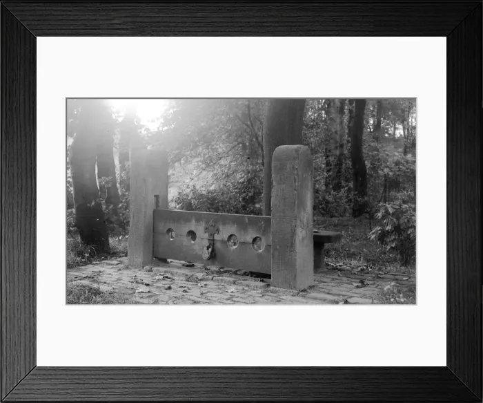 Framed Print : Bramhall Hall, Cheshire - the stocks Framed Print : Bramhall Hall, Cheshire - the stocks