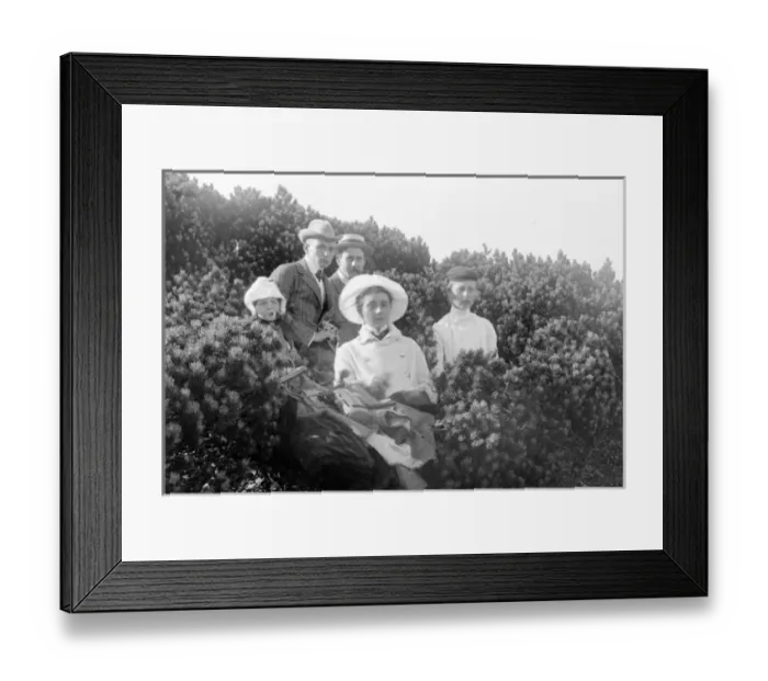 Framed Print : Group in shrubs on Schneeberg, Austria Framed Print : Group in shrubs on Schneeberg, Austria