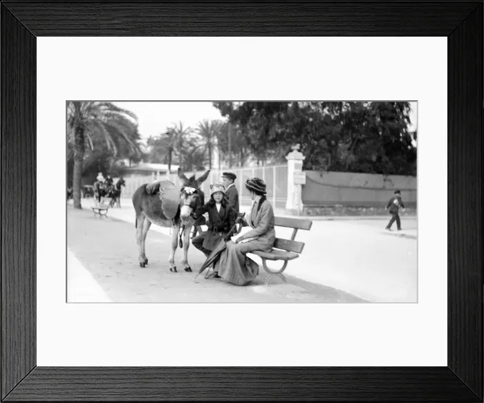 Framed Print : Group with donkey Framed Print : Group with donkey