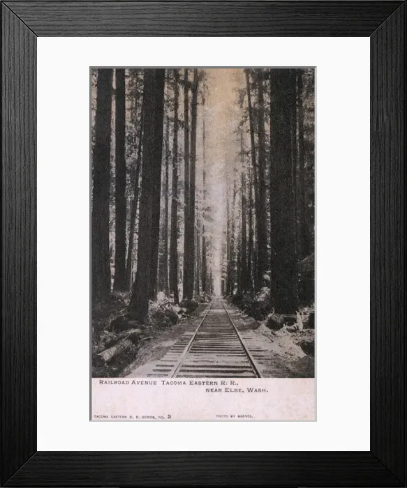 Framed Print : Railway through trees near Elbe, Washington, USA Framed Print : Railway through trees near Elbe, Washington, USA