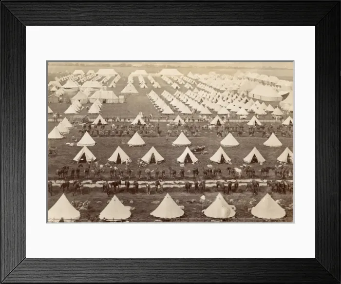 Framed Print : Mounted troops in camp Framed Print : Mounted troops in camp
