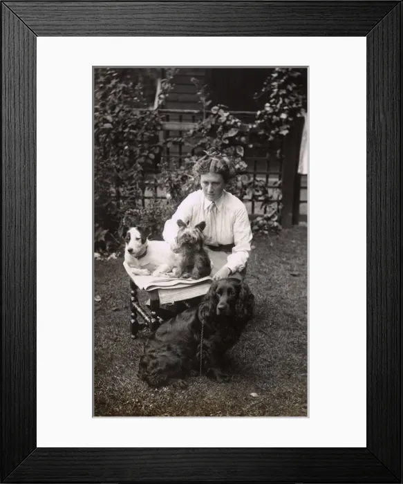 Framed Print : Woman with three dogs in the garden Framed Print : Woman with three dogs in the garden