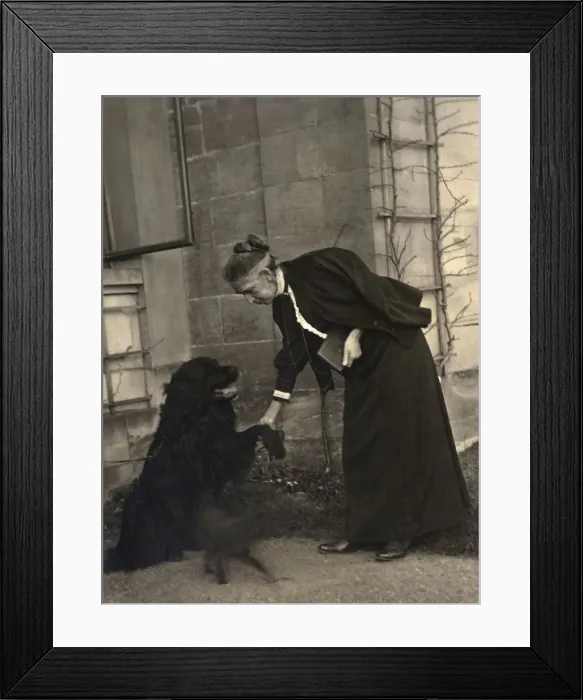 Framed Print : Old lady teaching her dog Framed Print : Old lady teaching her dog