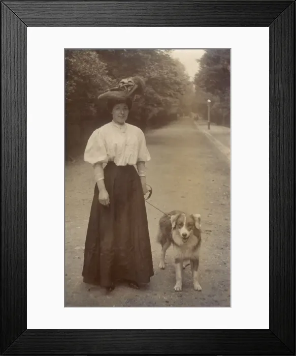 Framed Print : Woman with dog in a park Framed Print : Woman with dog in a park