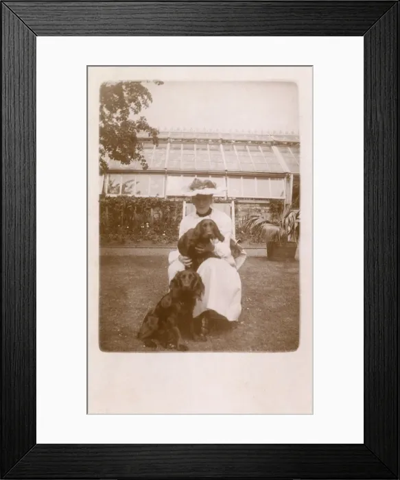 Framed Print : Woman with two Cocker Spaniels Framed Print : Woman with two Cocker Spaniels