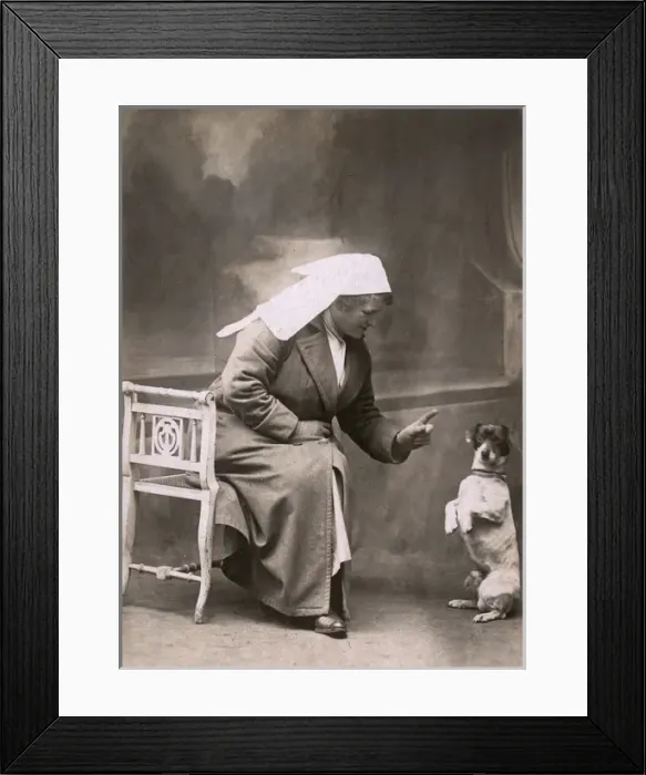 Framed Print : Woman disciplines a Jack Russell Framed Print : Woman disciplines a Jack Russell
