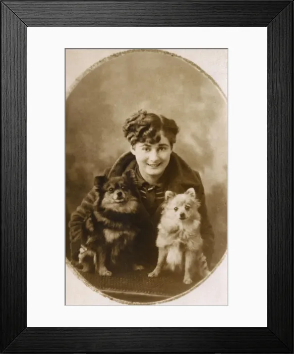 Framed Print : Young woman with little Pomeranians Framed Print : Young woman with little Pomeranians
