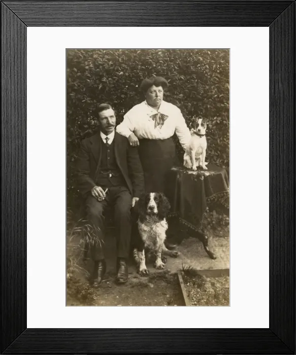 Framed Print : Couple with Jack Russell and Cocker Spaniel Framed Print : Couple with Jack Russell and Cocker Spaniel