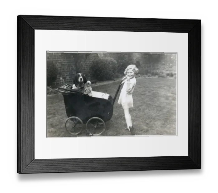 Framed Print : Girl in a garden with dog and doll in pram Framed Print : Girl in a garden with dog and doll in pram