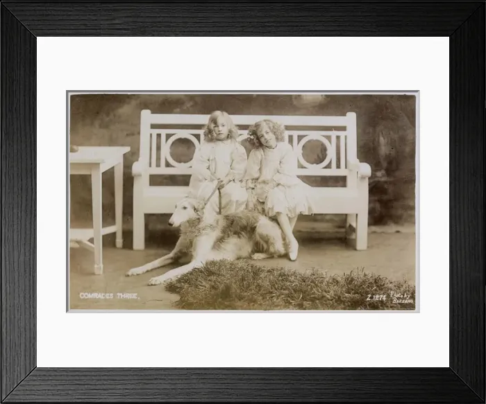Framed Print : Two girls on bench with large dog Framed Print : Two girls on bench with large dog