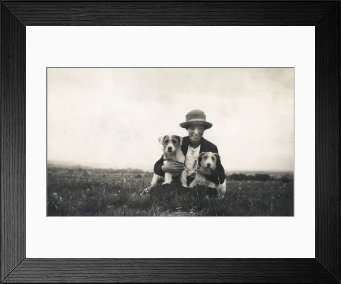 Framed Print : Young woman in a field with two terrier dogs Framed Print : Young woman in a field with two terrier dogs