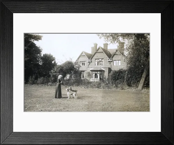 Framed Print : Woman and dogs in back garden Framed Print : Woman and dogs in back garden