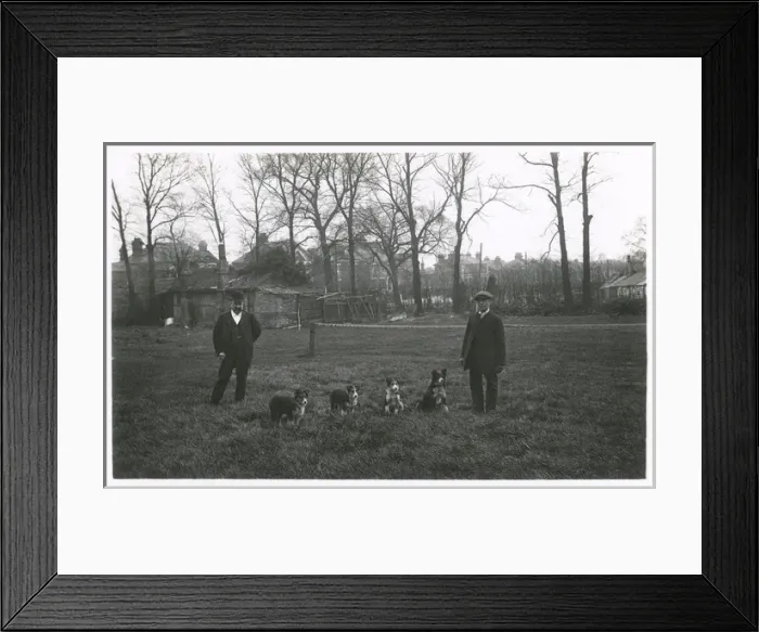 Framed Print : Two men with four dogs, North London suburbs Framed Print : Two men with four dogs, North London suburbs