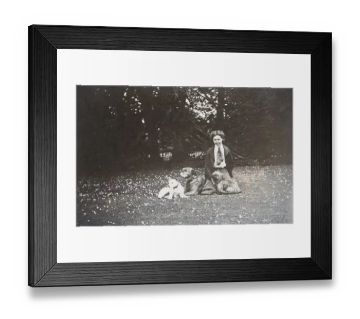 Framed Print : Young woman and three dogs in a garden Framed Print : Young woman and three dogs in a garden