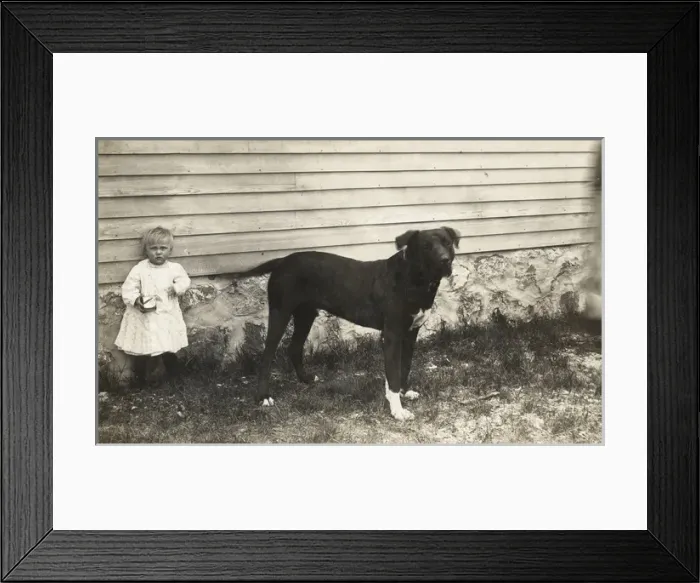 Framed Print : Toddler and large dog in a garden Framed Print : Toddler and large dog in a garden