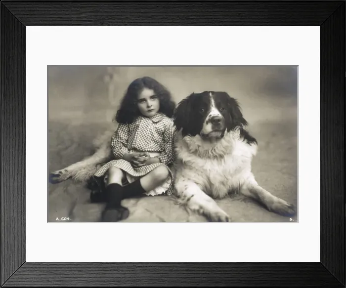 Framed Print : Studio portrait of little girl and large dog Framed Print : Studio portrait of little girl and large dog