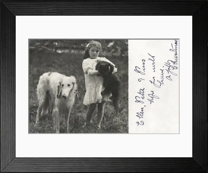 Framed Print : Little girl with a cat and a dog in a garden Framed Print : Little girl with a cat and a dog in a garden