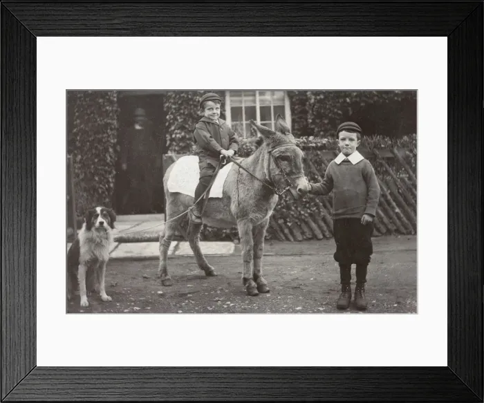 Framed Print : Boys with donkey and dog in a garden Framed Print : Boys with donkey and dog in a garden