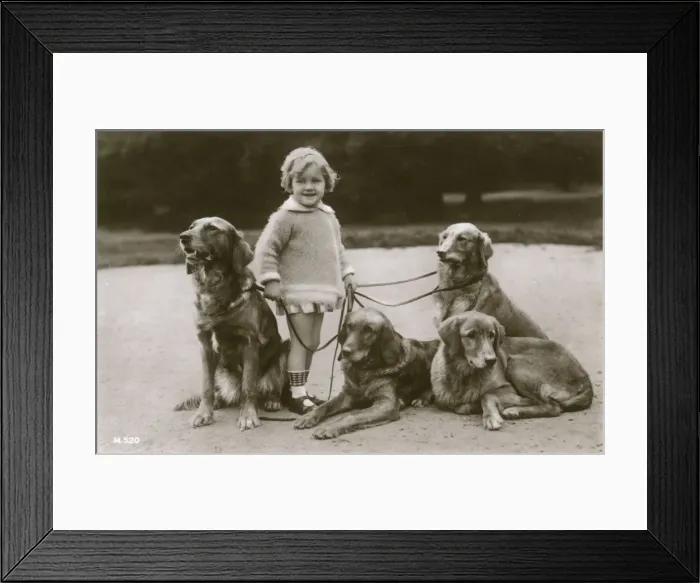 Framed Print : Little girl and four dogs in a garden Framed Print : Little girl and four dogs in a garden