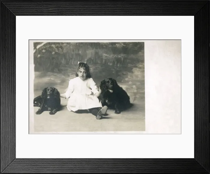 Framed Print : Studio portrait of a girl and two dogs Framed Print : Studio portrait of a girl and two dogs