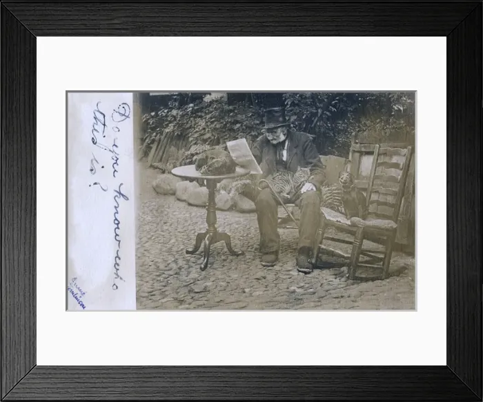 Framed Print : Old man with two dogs and a cat in a garden Framed Print : Old man with two dogs and a cat in a garden