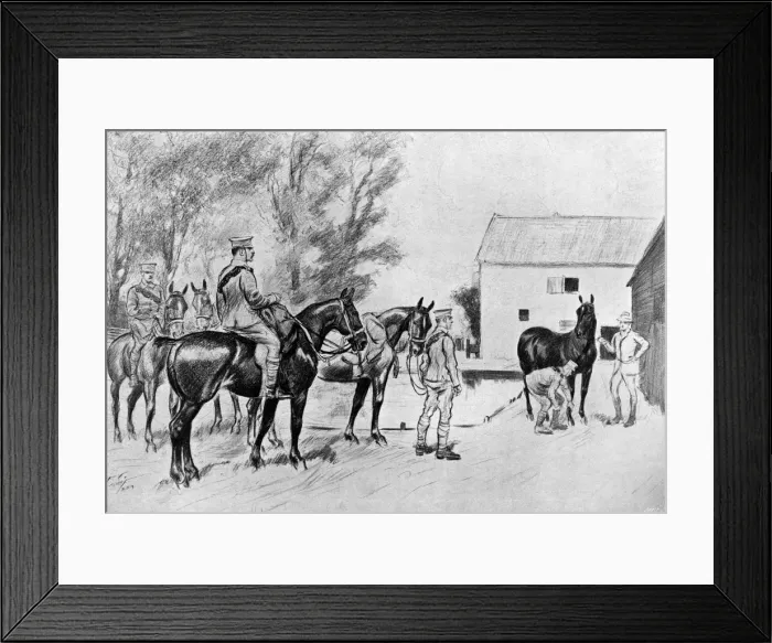 Framed Print : WW1 - buying horses for the Suffolk Territorial R. F. A Framed Print : WW1 - buying horses for the Suffolk Territorial R. F. A