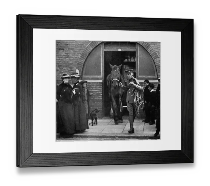 Framed Print : Army commandeering railway horses at Bexhill, WW1 Framed Print : Army commandeering railway horses at Bexhill, WW1