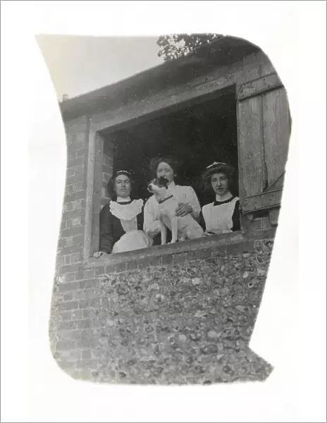 Three women with a dog at an open window