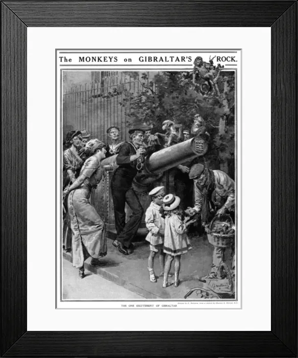 Framed Print : The Monkeys on Gibraltars Rock by Matania Framed Print : The Monkeys on Gibraltars Rock by Matania