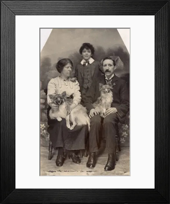 Framed Print : Studio portrait, family of three with two dogs Framed Print : Studio portrait, family of three with two dogs