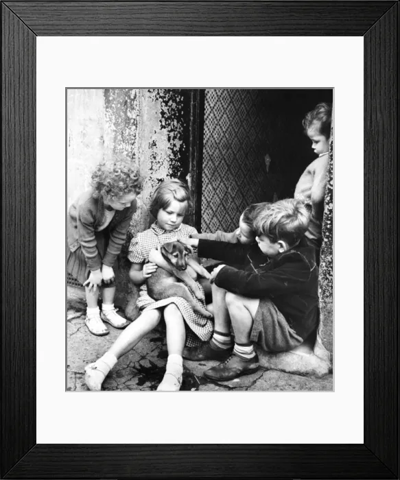 Framed Print : Children with puppy, Balham, SW London Framed Print : Children with puppy, Balham, SW London