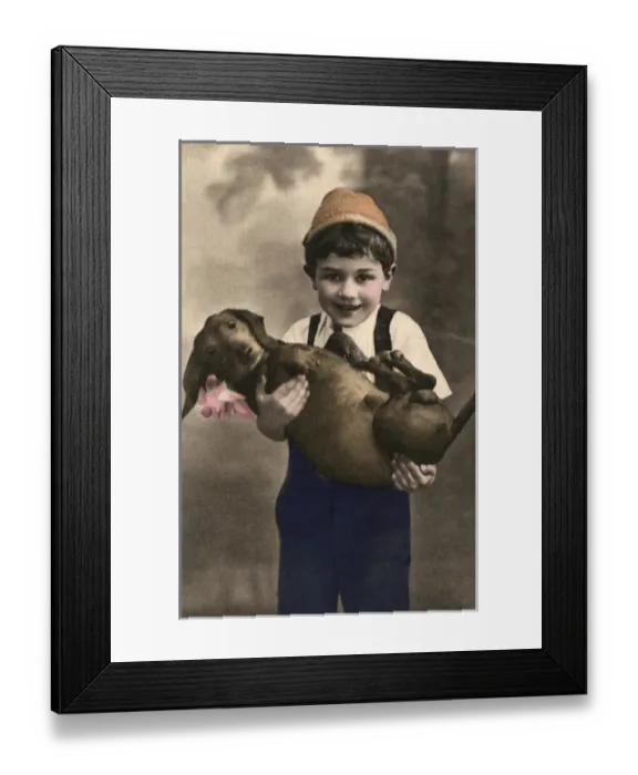 Framed Print : Studio portrait, little boy with dachshund Framed Print : Studio portrait, little boy with dachshund