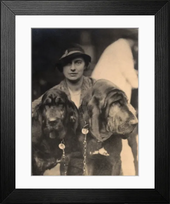 Framed Print : Woman with two pedigree Bloodhounds Framed Print : Woman with two pedigree Bloodhounds