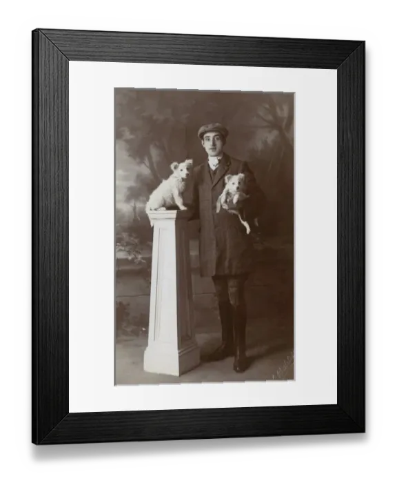 Framed Print : Studio portrait, young man with two little dogs Framed Print : Studio portrait, young man with two little dogs