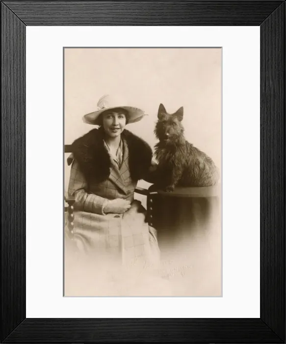 Framed Print : Studio portrait, woman with Scots terrier Framed Print : Studio portrait, woman with Scots terrier