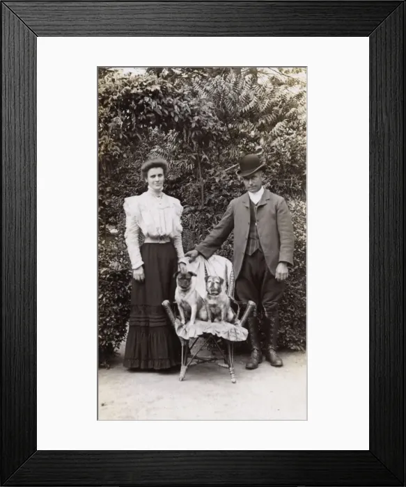 Framed Print : Edwardian couple with two pug dogs in a garden Framed Print : Edwardian couple with two pug dogs in a garden