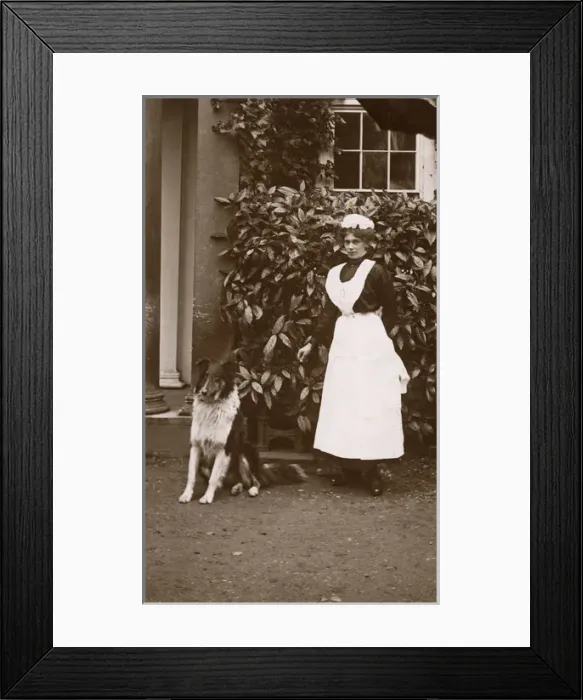 Framed Print : Woman with collie dog in a garden Framed Print : Woman with collie dog in a garden